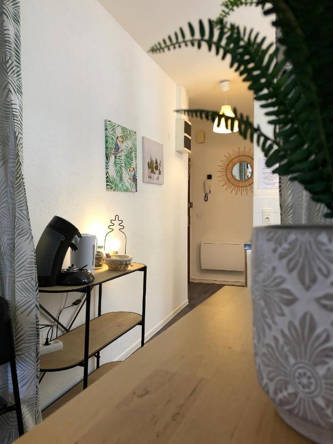 Ferienwohnung Equateur-Centre Jaude Clermont-Ferrand Exterior foto